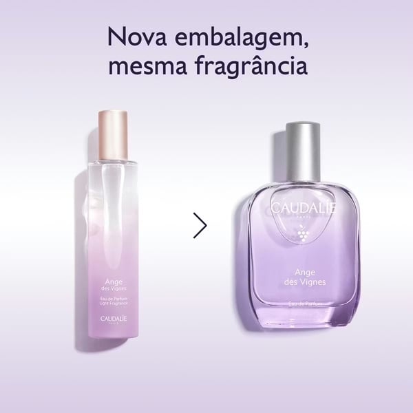 7264440-3.webp