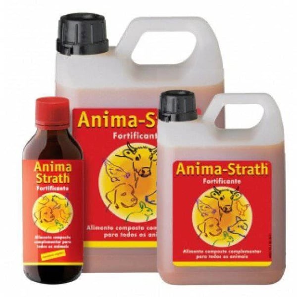 anima-strath-elixir-100-ml-2TbsU.webp