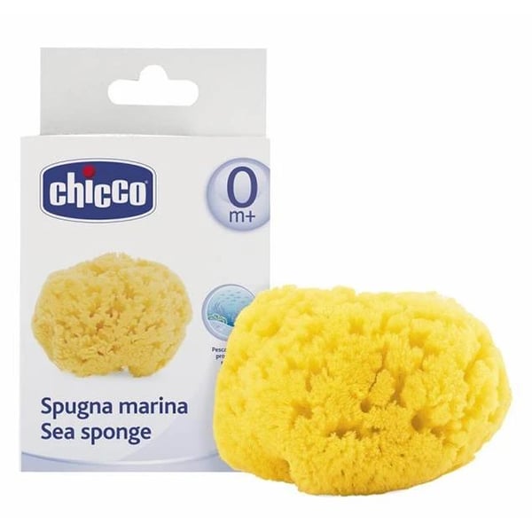 chicco-esponja-marinha-natural-grande-wxlXS.webp