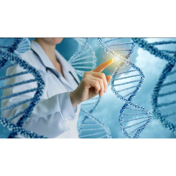 Epigenética: A nova fronteira do rejuvenescimento 