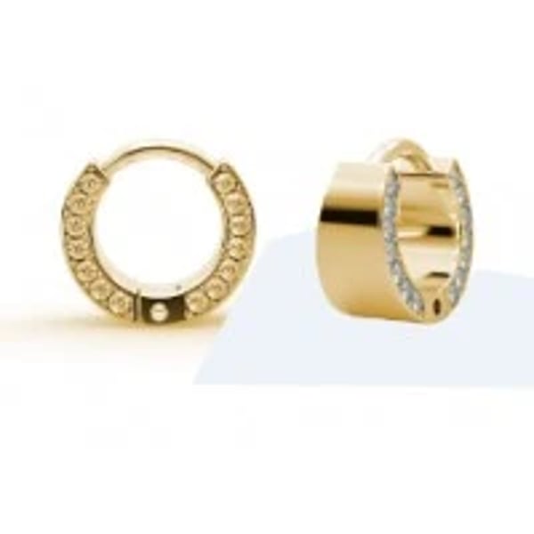 Biojoux Brincos Dakota Dourados 12 mm BJT278