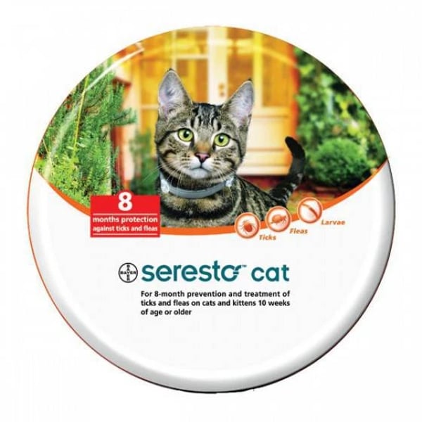 Seresto Coleira 1,25g+0,56g Gato coleira